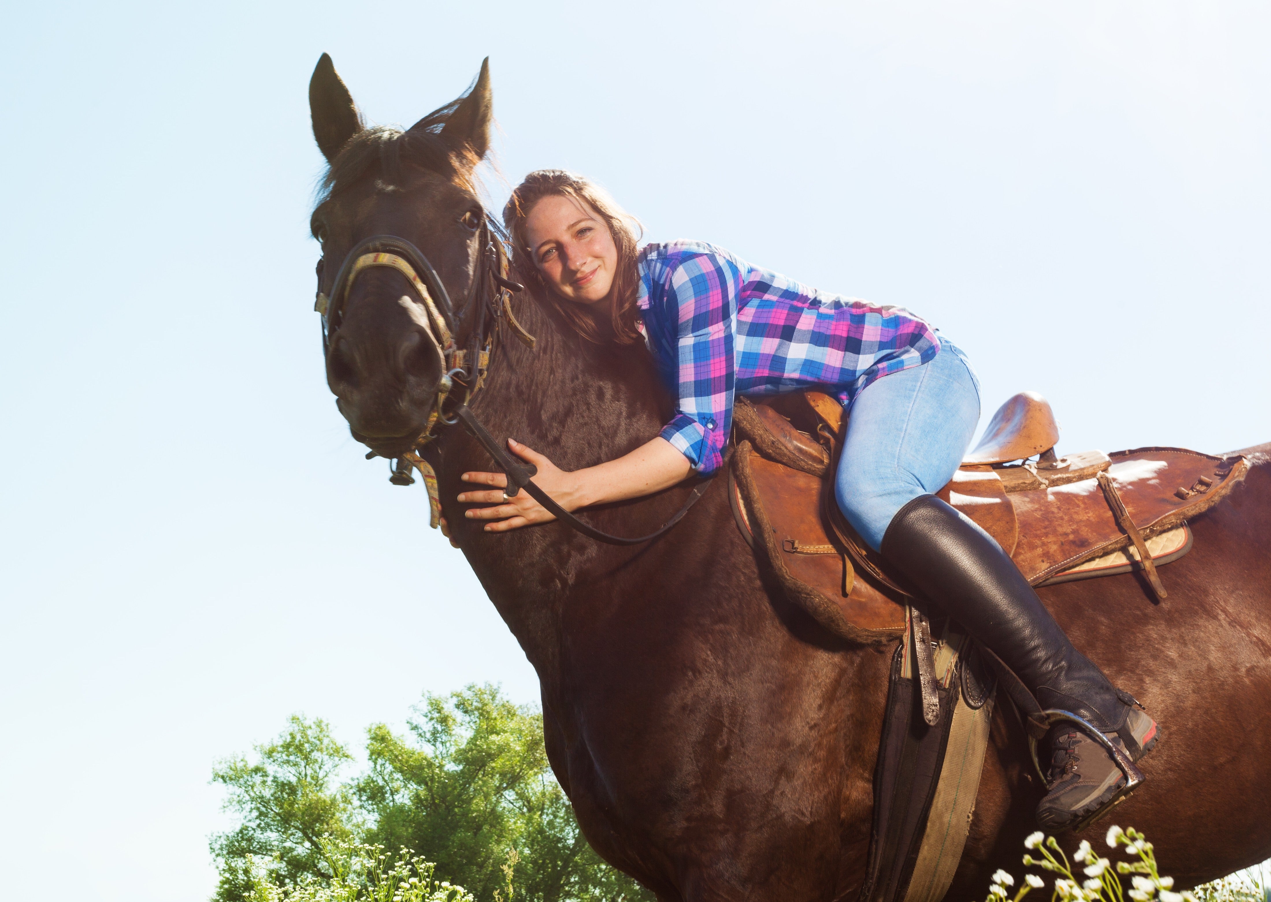Half Chaps Adults Unisex