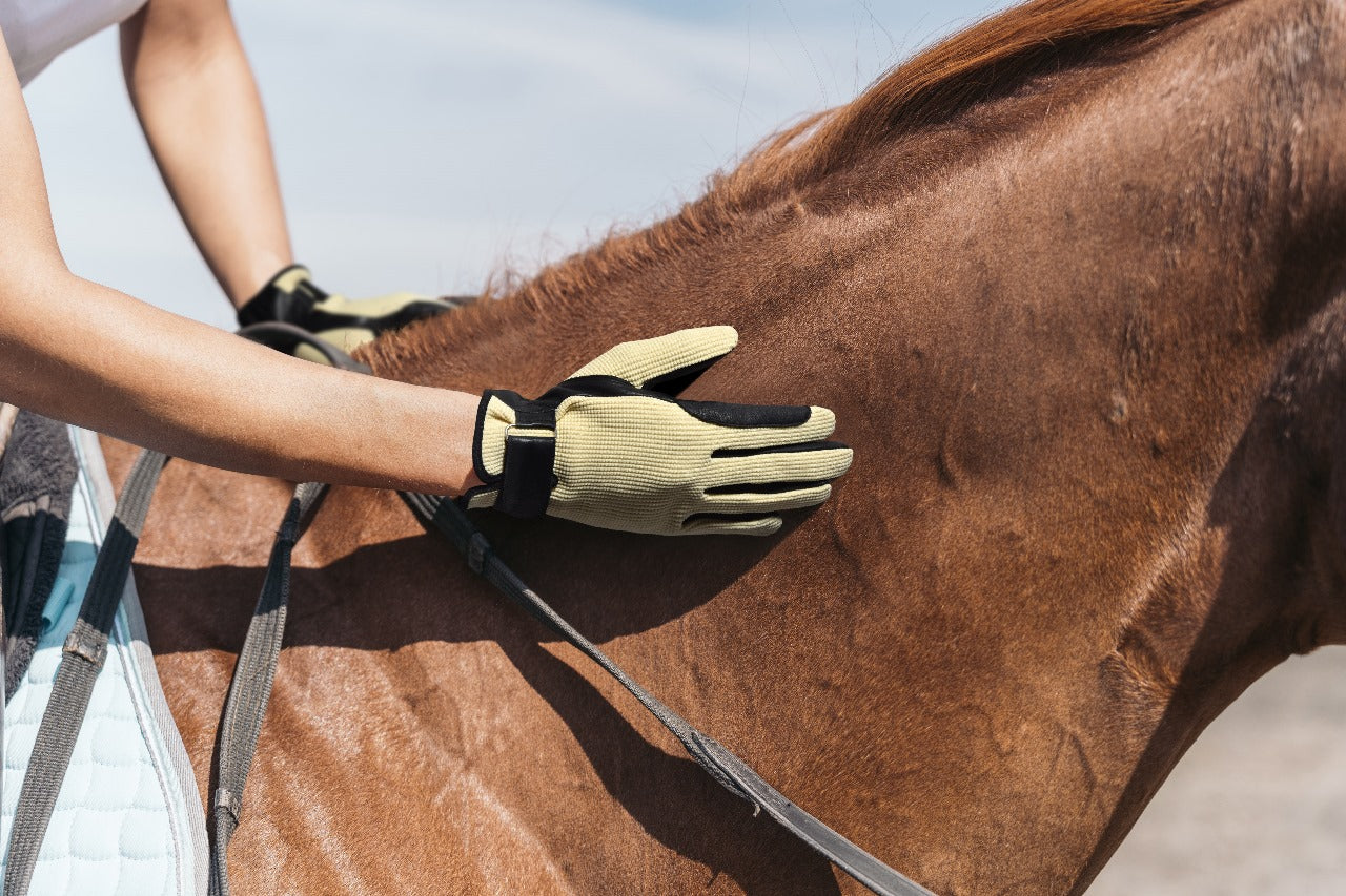 Riding Gloves Leather Adults